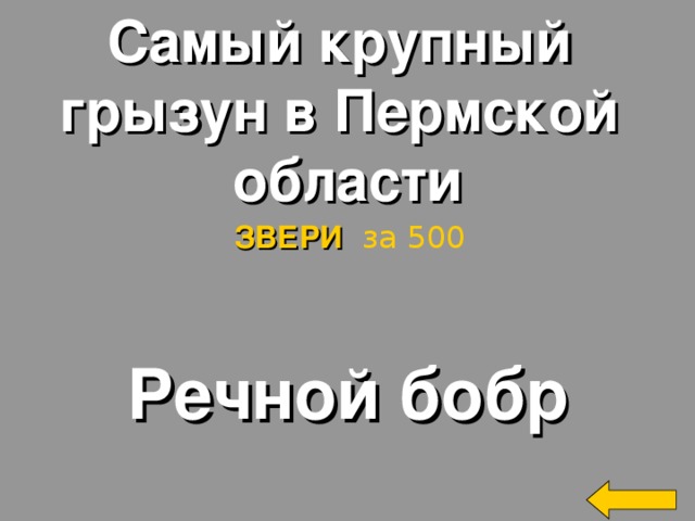 Самый крупный грызун в Пермской области ЗВЕРИ  за 500 Речной бобр Welcome to Power Jeopardy   © Don Link, Indian Creek School, 2004 You can easily customize this template to create your own Jeopardy game. Simply follow the step-by-step instructions that appear on Slides 1-3. 2