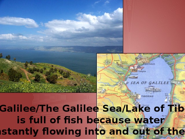 Lake Galilee/The Galilee Sea/Lake of Tiberias  is full of fish because water  is constantly flowing into and out of the lake.
