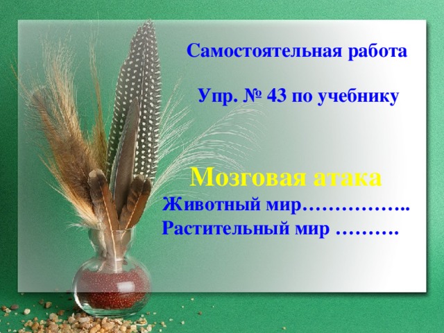 Самостоятельная работа Упр. № 43 по учебнику Мозговая атака Животный мир…………….. Растительный мир ……….