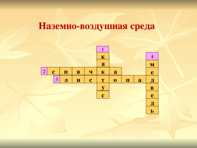 Наземно-воздушная среда 1 4 к а м п ч я к а с 2 е л д п 3 о с т а и у в с е д ь