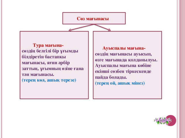 Жануарлардағы онтогенездің тура және жанама типтері презентация