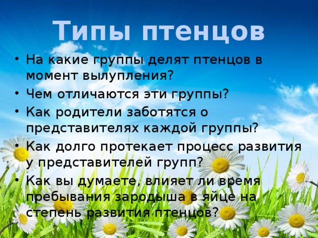 Типы птенцов