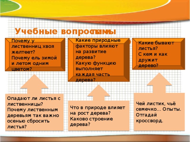 Учебные вопросы и   темы исследований Почему у лиственниц хвоя желтеет? Какие природные факторы влияют на развитие дерева? Какие бывают листья? Почему ель зимой и летом одним цветом? Какую функцию выполняет каждая часть дерева? С кем и как дружит дерево? Чей листик, чьё семечко… Опыты. Отгадай кроссворд. Опадают ли листья с лиственницы? Почему лиственным деревьям так важно осенью сбросить листья? Что в природе влияет на рост дерева? Каково строение дерева?