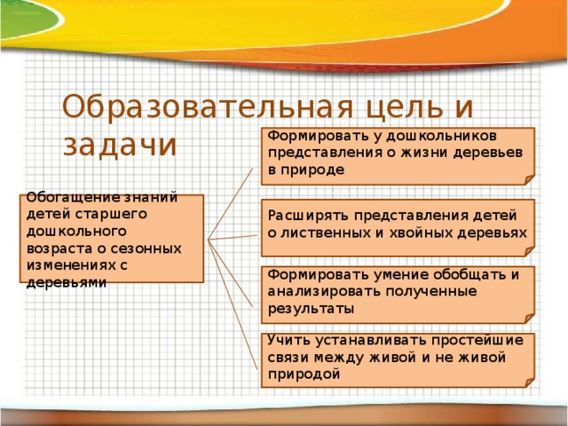 Образовательная цель и задачи Формировать у дошкольников представления о жизни деревьев в природе Обогащение знаний детей старшего дошкольного возраста о сезонных изменениях с деревьями Расширять представления детей о лиственных и хвойных деревьях Формировать умение обобщать и анализировать полученные результаты Учить устанавливать простейшие связи между живой и не живой природой