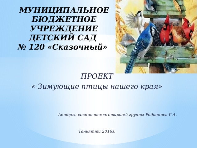 МУНИЦИПАЛЬНОЕ БЮДЖЕТНОЕ УЧРЕЖДЕНИЕ ДЕТСКИЙ САД  № 120 «Сказочный»   ПРОЕКТ « Зимующие птицы нашего края»    Авторы: воспитатель старшей группы Родионова Г.А.   Тольятти 2016г.