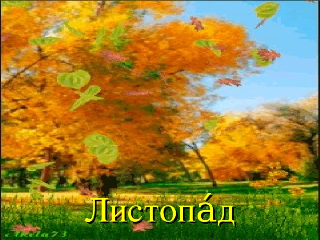 Листопа́д