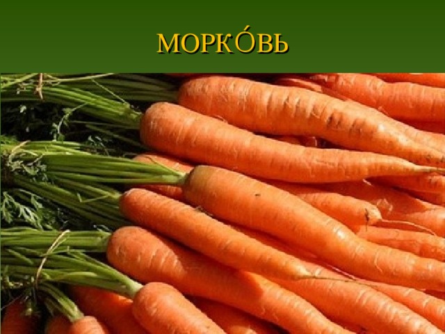 МОРКО́ВЬ