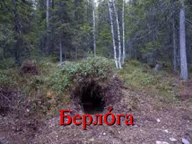 Берло́га