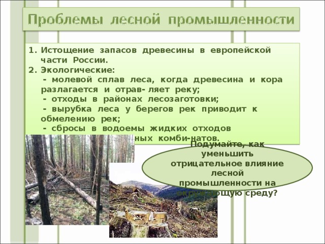 Истощение запасов древесины в европейской части России. Экологические: