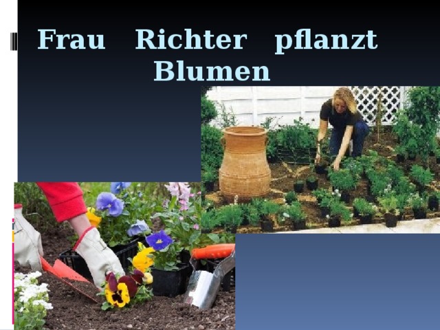 Frau Richter pflanzt Blumen