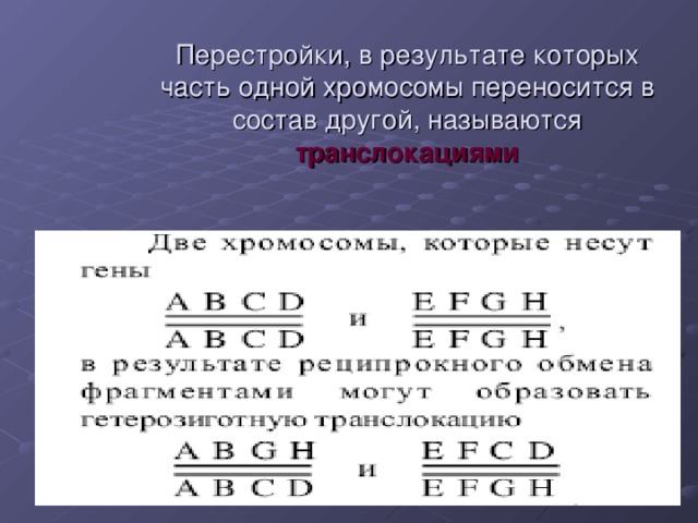 Перестройки, в результате которых часть одной хромосомы переносится в состав другой, называются транслокациями