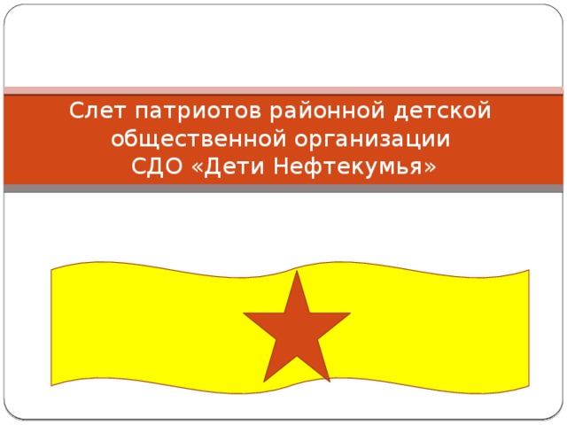 Слет патриотов районной детской общественной организации  СДО «Дети Нефтекумья»