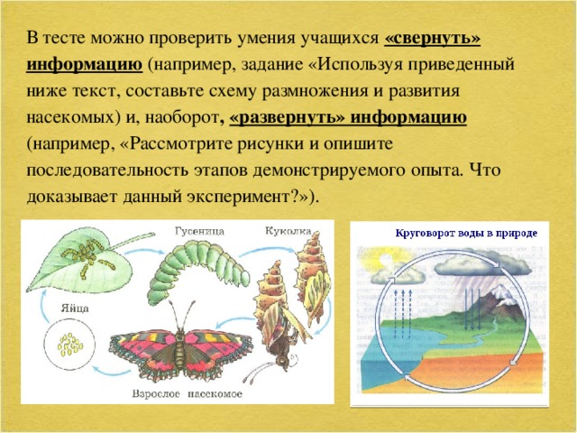 В тесте можно проверить умения учащихся «свернуть» информацию (например, задание «Используя приведенный ниже текст, составьте схему размножения и развития насекомых) и, наоборот , «развернуть» информацию (например, «Рассмотрите рисунки и опишите последовательность этапов демонстрируемого опыта. Что доказывает данный эксперимент?»).