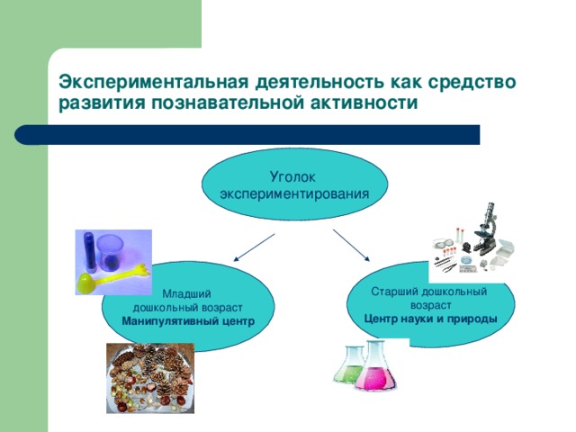 Экспериментальная деятельность как средство развития познавательной активности Уголок экспериментирования Младший дошкольный возраст Манипулятивный центр Старший дошкольный возраст Центр науки и природы