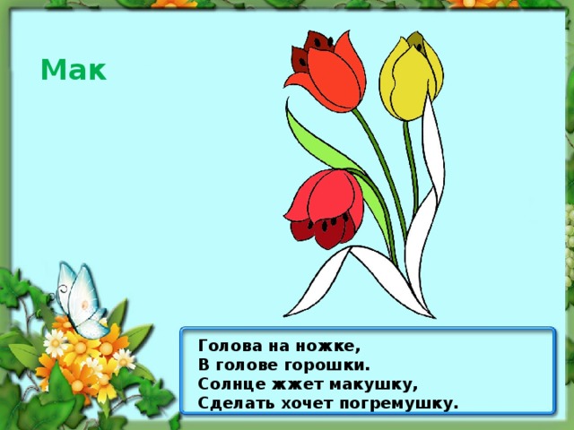 Мак Голова на ножке, В голове горошки. Солнце жжет макушку, Сделать хочет погремушку.