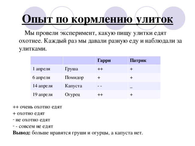 Опыт по кормлению улиток  Мы провели эксперимент, какую пищу улитки едят охотнее. Каждый раз мы давали разную еду и наблюдали за улитками. 1 апреля Груша Гарри 6 апреля Патрик ++ Помидор 14 апреля + Капуста 19 апреля + Огурец + - - _ ++ + ++ очень охотно едят + охотно едят  не охотно едят  - совсем не едят Вывод: больше нравятся груши и огурцы, а капуста нет.