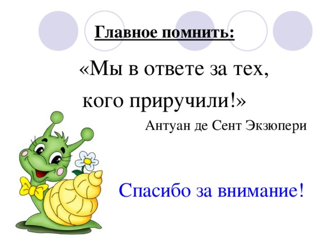 Главное помнить:  «Мы в ответе за тех, кого приручили!»  Антуан де Сент Экзюпери Спасибо за внимание!