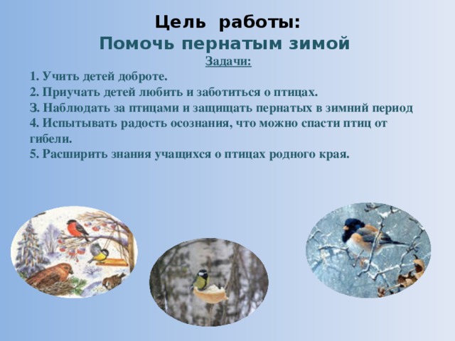 Цель работы:  Помочь пернатым зимой   Задачи: 1. Учить детей доброте. 2. Приучать детей любить и заботиться о птицах. З. Наблюдать за птицами и защищать пернатых в зимний период 4. Испытывать радость осознания, что можно спасти птиц от гибели. 5. Расширить знания учащихся о птицах родного края.