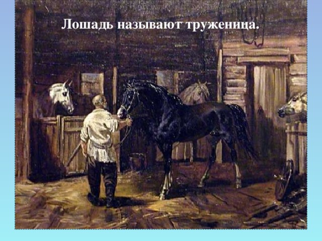 Лошадь называют труженица.