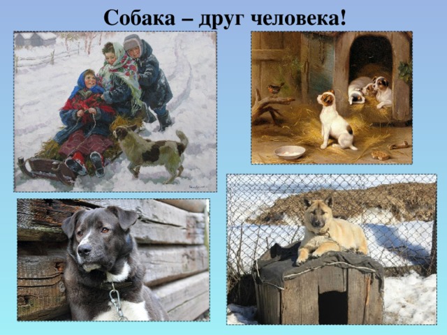 Собака – друг человека!