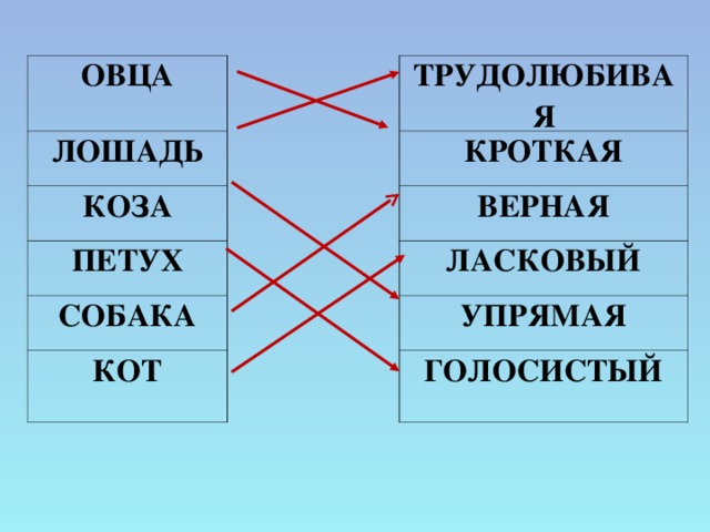 ОВЦА ЛОШАДЬ ТРУДОЛЮБИВАЯ КОЗА КРОТКАЯ ПЕТУХ СОБАКА ВЕРНАЯ ЛАСКОВЫЙ КОТ УПРЯМАЯ ГОЛОСИСТЫЙ