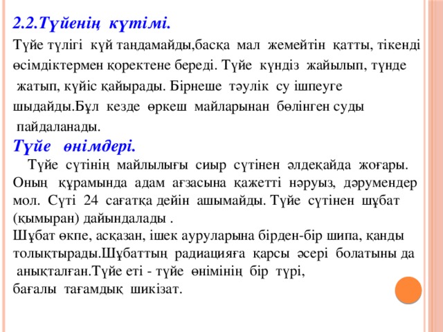 2.2.Түйенің  күтімі. Түйе түлігі  күй таңдамайды,басқа  мал  жемейтін  қатты, тікенді өсімдіктермен қоректене береді. Түйе  күндіз  жайылып, түнде  жатып, күйіс қайырады. Бірнеше  тәулік  су ішпеуге шыдайды.Бұл  кезде  өркеш  майларынан  бөлінген суды  пайдаланады. Түйе   өнімдері.  Түйе  сүтінің  майлылығы  сиыр  сүтінен  әлдеқайда  жоғары. Оның   құрамында  адам  ағзасына  қажетті  нәруыз,  дәрумендер  мол.  Сүті  24  сағатқа дейін  ашымайды. Түйе  сүтінен  шұбат (қымыран) дайындалады . Шұбат өкпе, асқазан, ішек ауруларына бірден-бір шипа, қанды толықтырады.Шұбаттың  радиацияға  қарсы  әсері  болатыны да  анықталған.Түйе еті - түйе  өнімінің  бір  түрі, бағалы  тағамдық  шикізат.