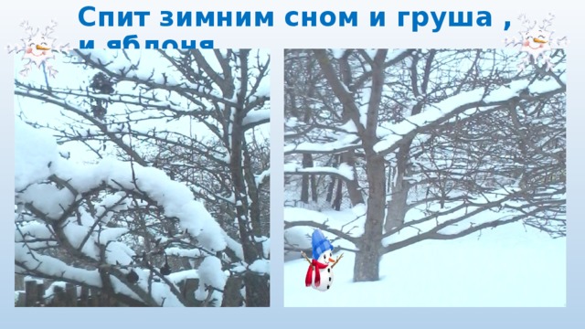 Спит зимним сном и груша , и яблоня.