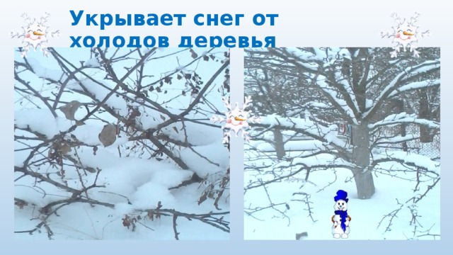 Укрывает снег от холодов деревья