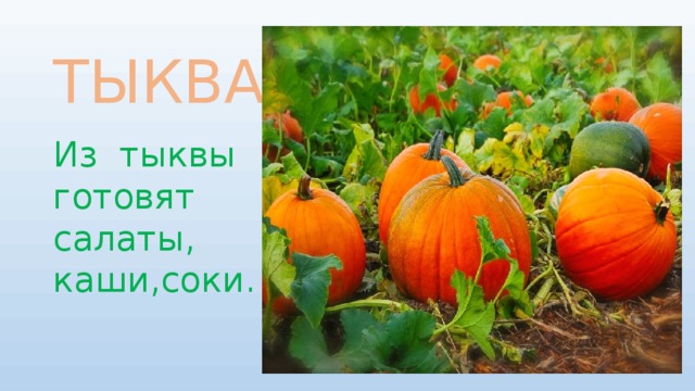 ТЫКВА Из тыквы готовят салаты, каши,соки.