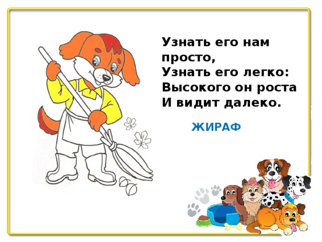 Узнать его нам просто, Узнать его легко: Высокого он роста И видит далеко. ЖИРАФ