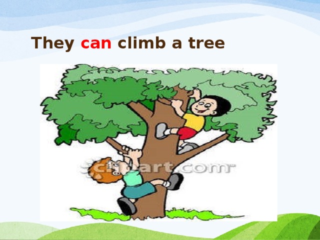 They can climb a tree