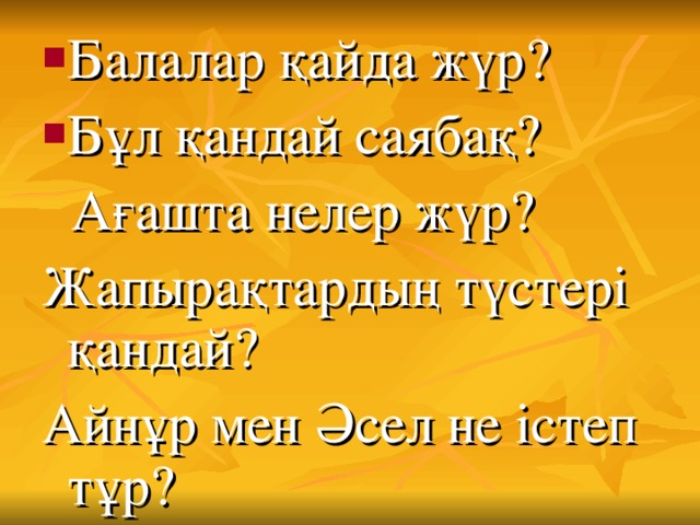 Балалар қайда жүр? Бұл қандай саябақ?