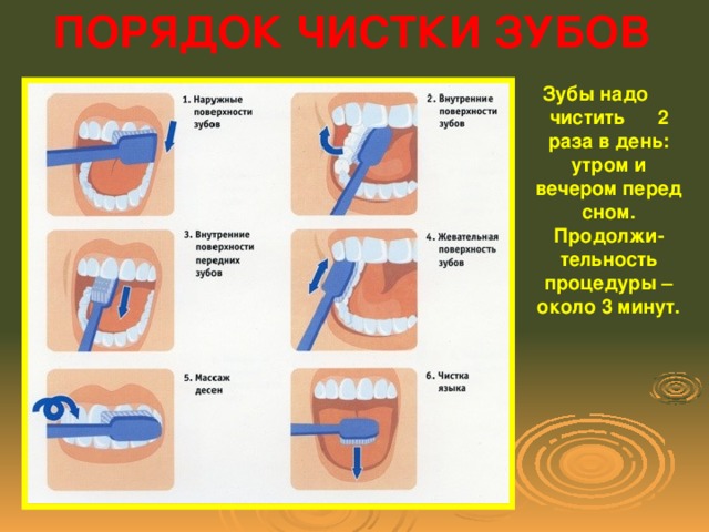 ПОРЯДОК ЧИСТКИ ЗУБОВ Зубы надо чистить 2 раза в день: утром и вечером перед сном. Продолжи-тельность процедуры – около 3 минут.