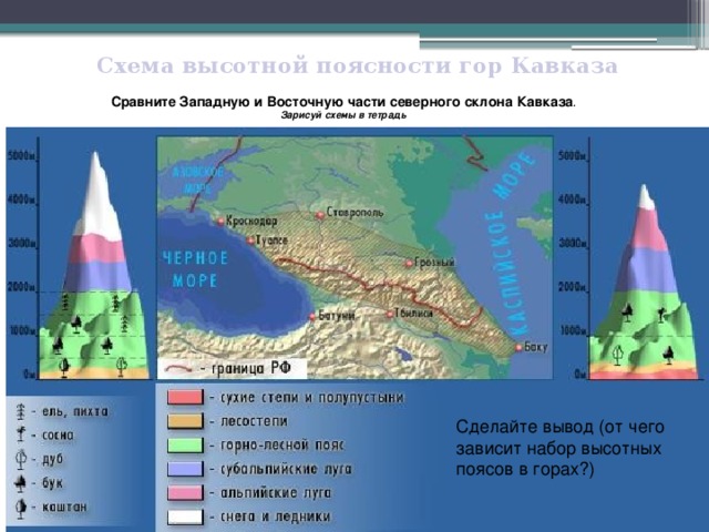 Схема высотной поясности гор Кавказа Сравните Западную и Восточную части северного склона Кавказа . Зарисуй схемы в тетрадь Сделайте вывод (от чего зависит набор высотных поясов в горах?)