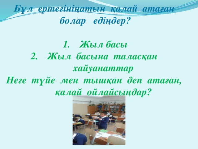 Бұл ертегініңатын қалай атаған болар едіңдер?  Жыл басы Жыл басына таласқан хайуанаттар Неге түйе мен тышқан деп атаған, қалай ойлайсыңдар?