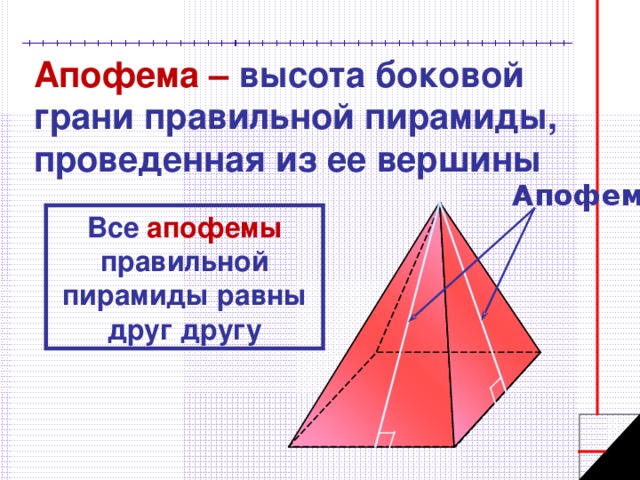 Апофема – высота боковой грани правильной пирамиды, проведенная из ее вершины Апофемы Все апофемы правильной пирамиды равны друг другу