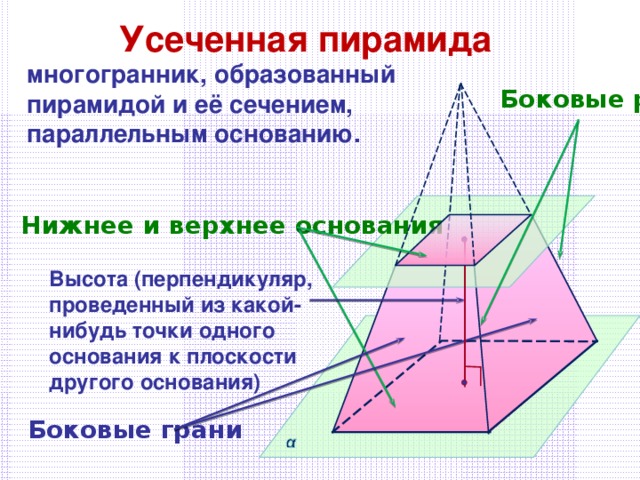 Усеченная пирамида многогранник, образованный пирамидой и её сечением, параллельным основанию. Боковые ребра Нижнее и верхнее основания Высота (перпендикуляр, проведенный из какой-нибудь точки одного основания к плоскости другого основания) Боковые грани
