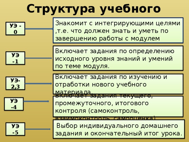 Структура учебного элемента  Знакомит с интегрирующими целями ,т.е. что должен знать и уметь по завершению работы с модулем УЭ - 0 Включает задания по определению исходного уровня знаний и умений по теме модуля. УЭ -1 Включает задания по изучению и отработки нового учебного материала. УЭ-2,3 Включает задания текущего, промежуточного, итогового контроля (самоконтроль, взаимоконтроль, самооценка). УЭ -4  Выбор индивидуального домашнего задания и окончательный итог урока. УЭ -5