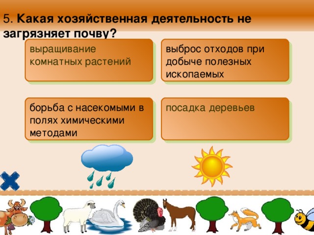 5. Какая хозяйственная деятельность не загрязняет почву?  выращивание комнатных растений выброс отходов при добыче полезных ископаемых  борьба с насекомыми в полях химическими методами посадка деревьев