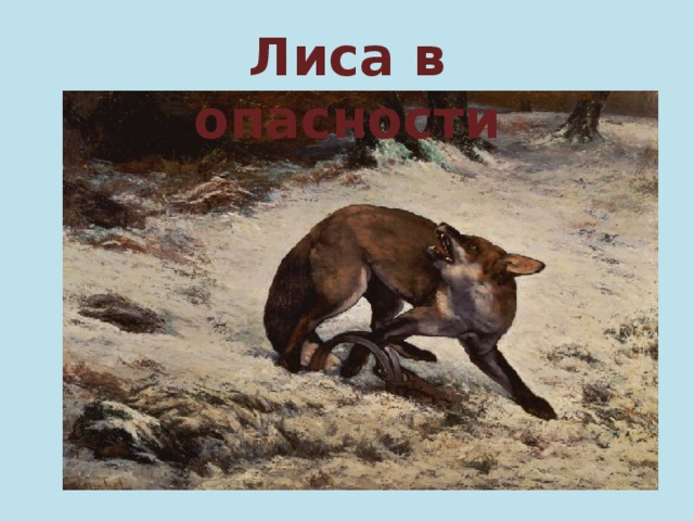 Лиса в опасности