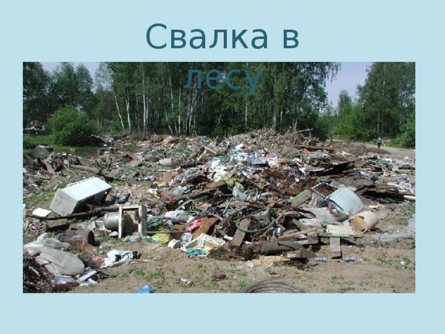 Свалка в лесу