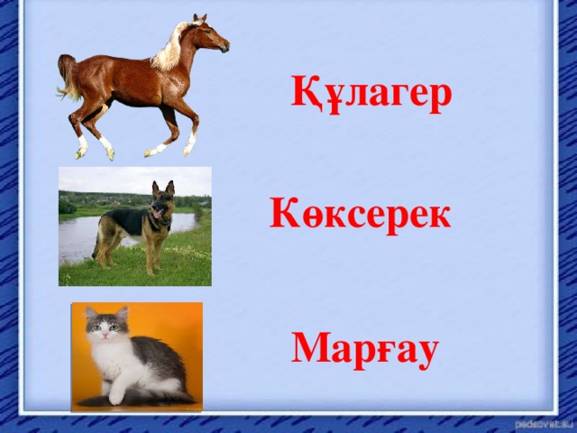 Кісі аттары Құлагер Науат Әділжан Сабина Әлішер Айгерім Көксерек Марғау