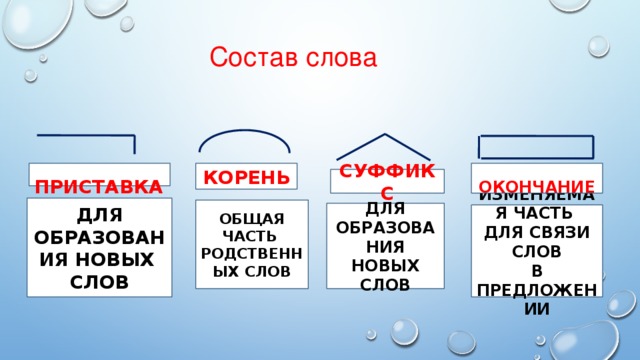 Состав слова корень