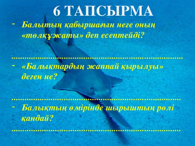 6 ТАПСЫРМА Балытың қабыршағын неге оның «төлқұжаты» деп есептейді?  ............................................................................... «Балықтардың жаппай қырылуы» деген не?  .............................................................................. Балықтың өмірінде шырыштың рөлі қандай? ..............................................................................