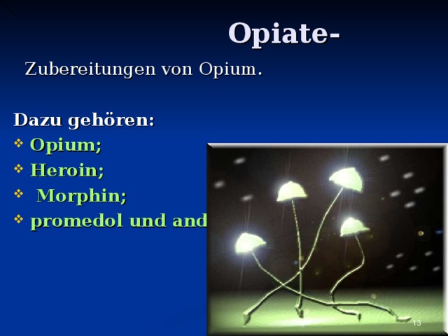 Opiate - Zubereitungen von Opium .  Dazu gehören: Opium ; Heroin ;  Morphin ; promedol und andere.