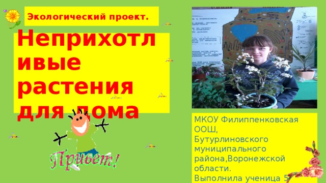 Экологический проект. Неприхотливые растения для дома МКОУ Филиппенковская ООШ, Бутурлиновского муниципального района,Воронежской области. Выполнила ученица 5 класса  Гусак Елена Сергеевна .  2017 г .