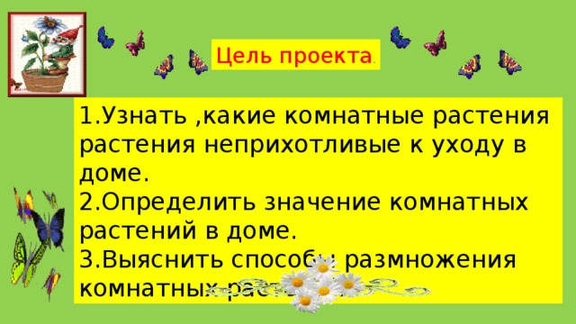 Цель проекта . 1.Узнать ,какие комнатные растения растения неприхотливые к уходу в доме. 2.Определить значение комнатных растений в доме. 3.Выяснить способы размножения комнатных растений.