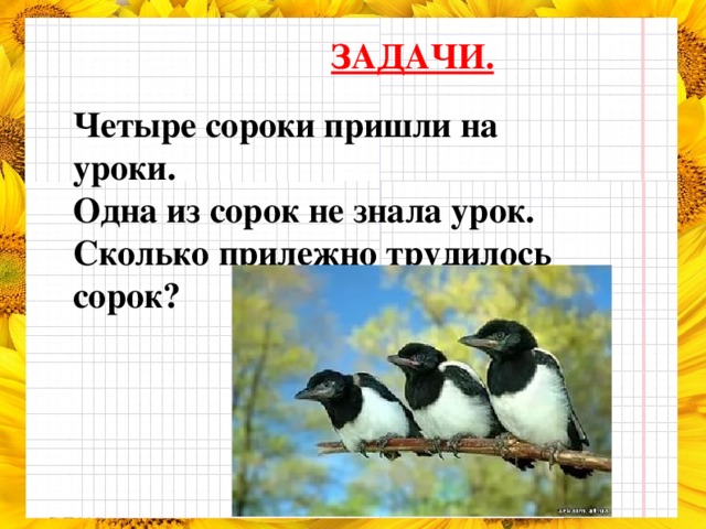 ЗАДАЧИ.  Четыре сороки пришли на уроки. Одна из сорок не знала урок. Сколько прилежно трудилось сорок?