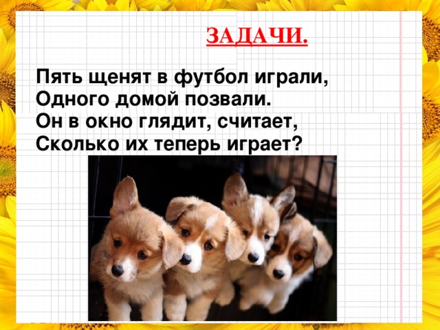 ЗАДАЧИ.  Пять щенят в футбол играли, Одного домой позвали. Он в окно глядит, считает, Сколько их теперь играет?