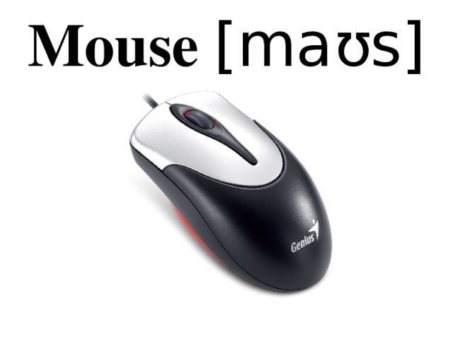 Mouse [maʊs]
